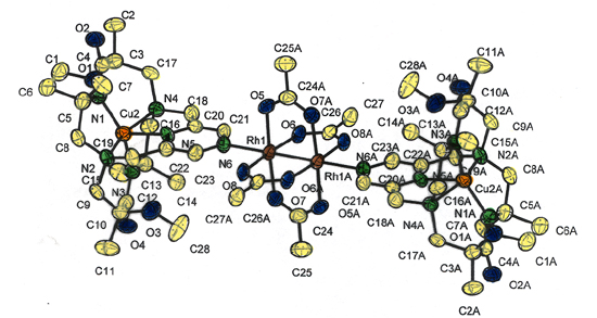 Cyclam dimer with rhodium